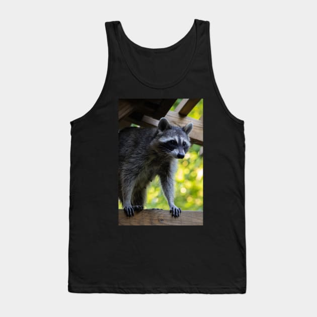 Pretty Raccoon Girl Tank Top by astonishingemma